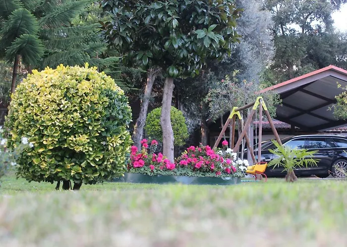 Turismo Homes Solar Do Areal Affittacamere 4*